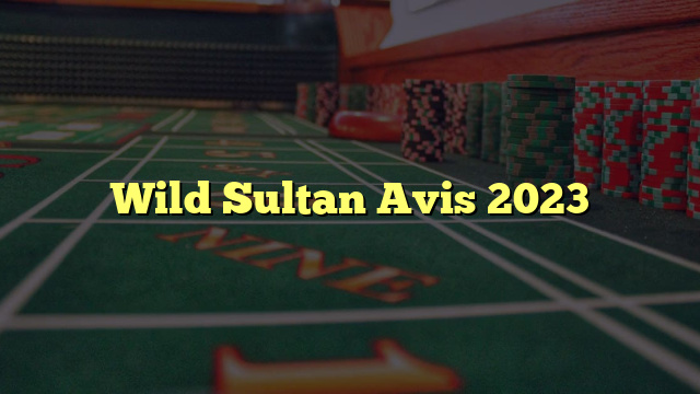 Wild Sultan Avis 2023